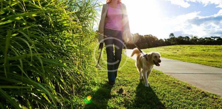 First Dog Walking Pics Of 2017